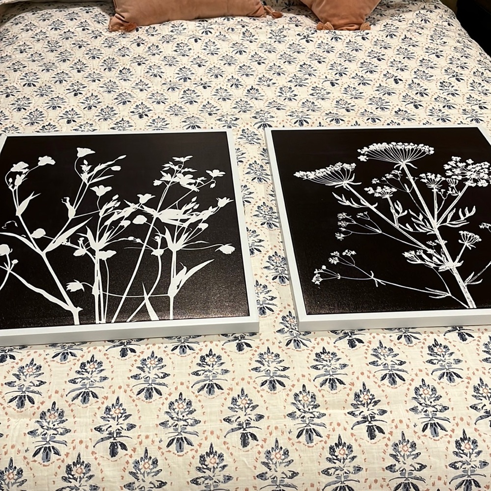 Brown & White Canvas wildflower prints